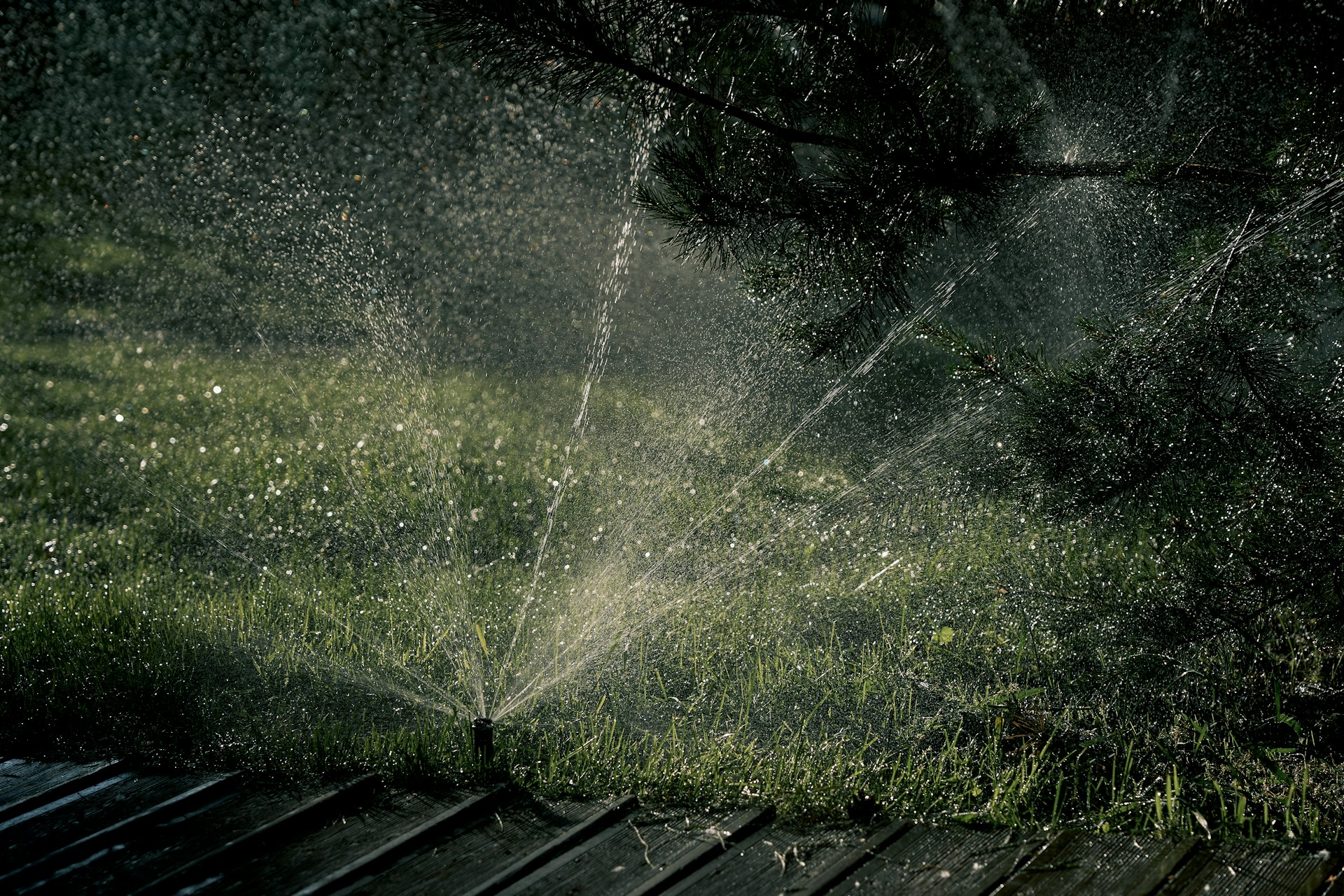 night sprinkler