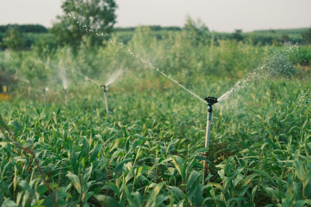 sprinkler