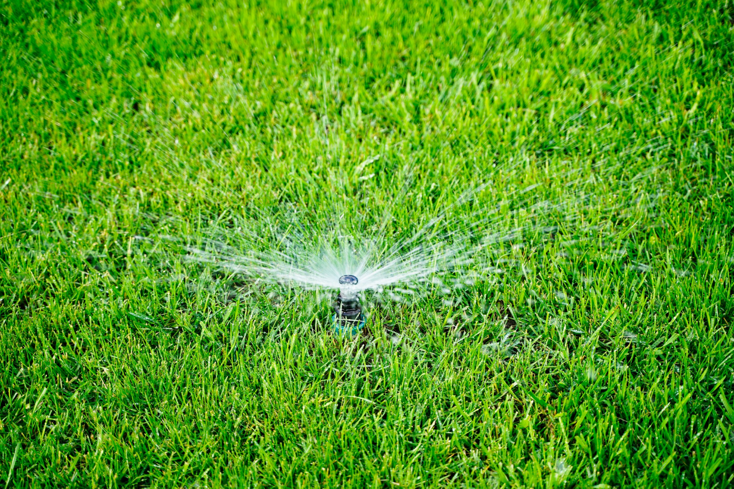 sprinkler
