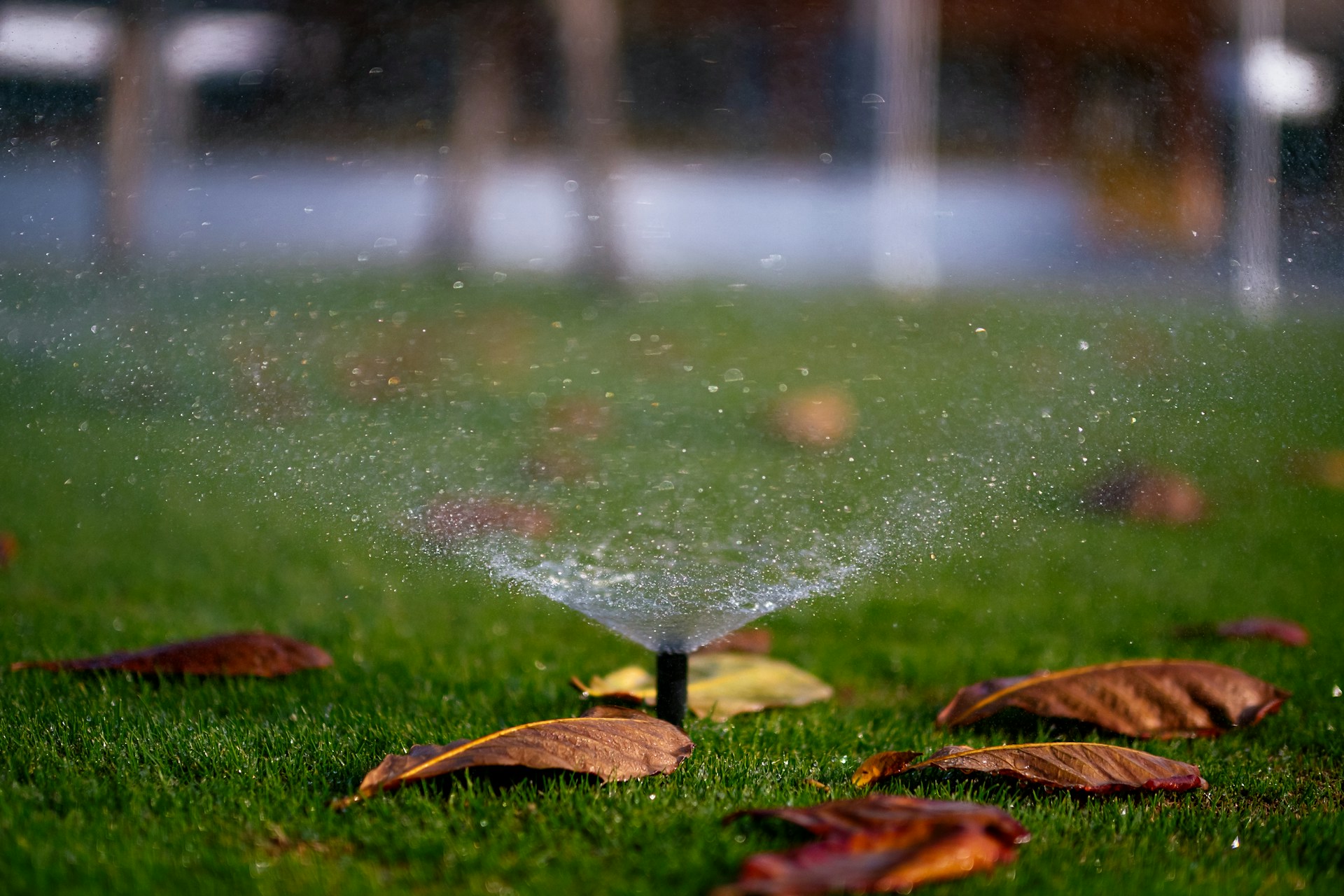sprinkler system
