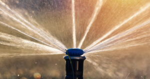 Lighting and Sprinklers