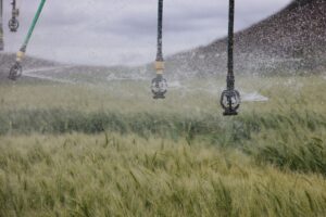 Smart Sprinkler