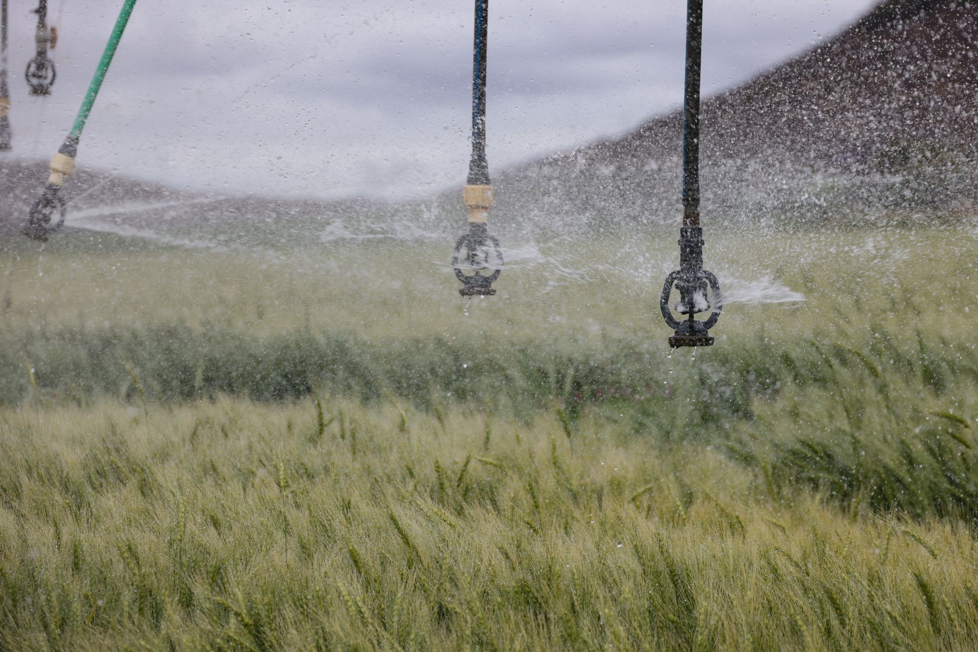 Smart Sprinkler