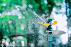 sprinkler system
